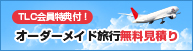 インターネットTVガイド