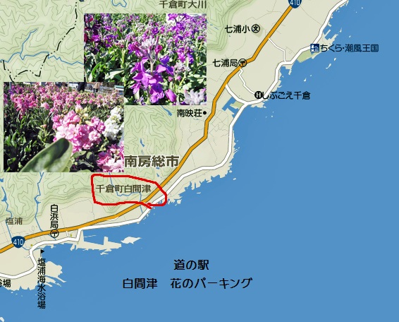 地図花畑2枚の写真