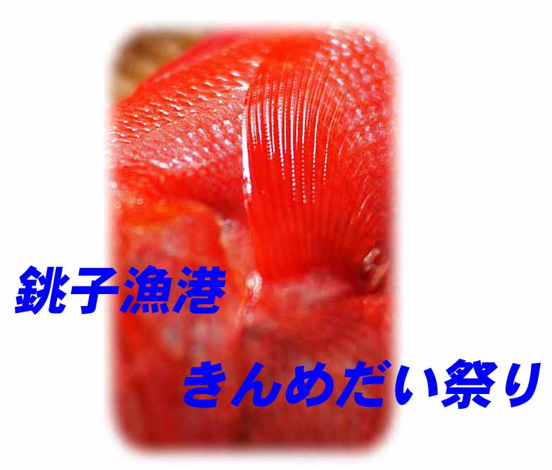 真っ赤な金目鯛の鱗アップ写真